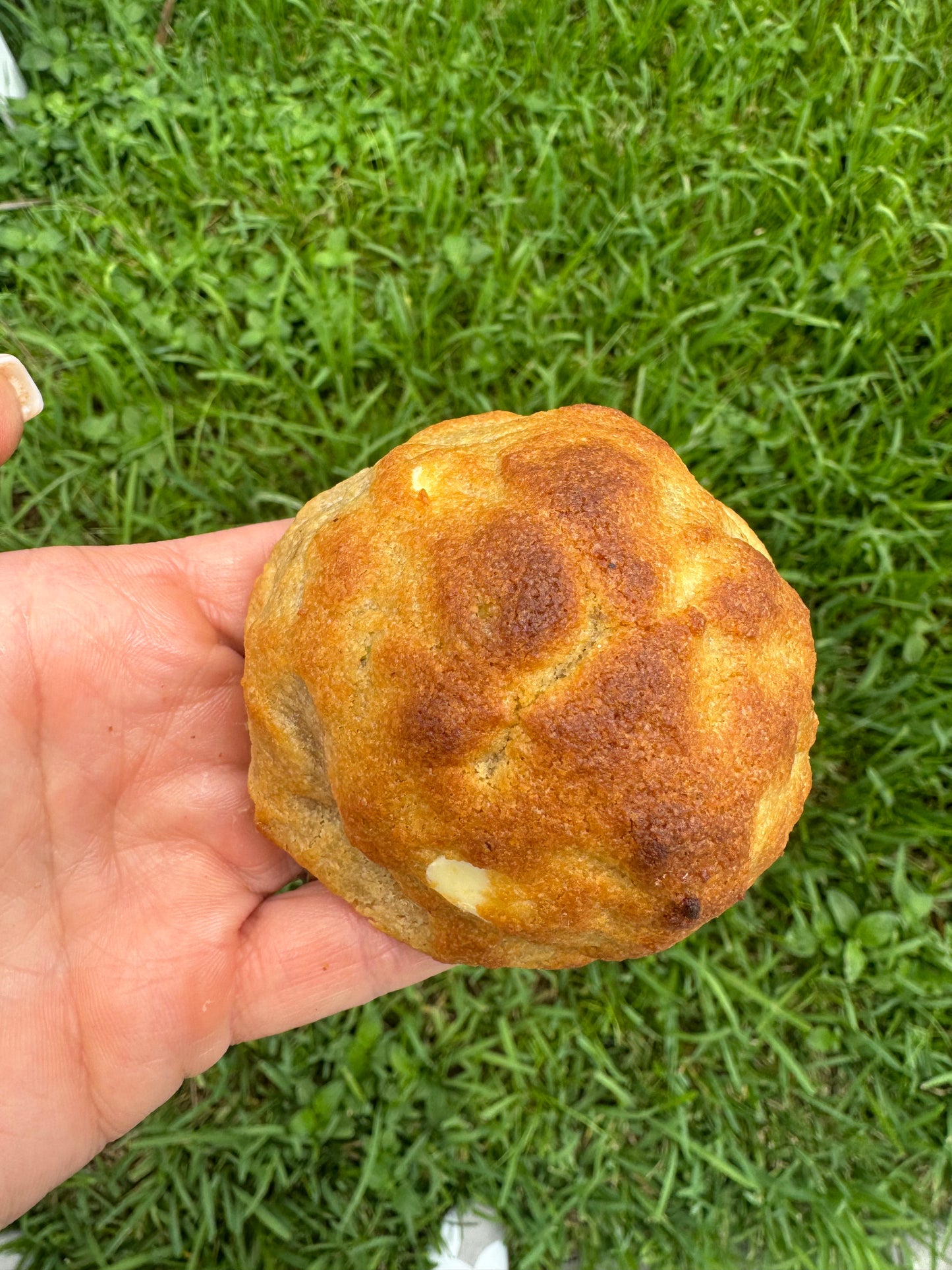 Galleta Rellena de Pistacho